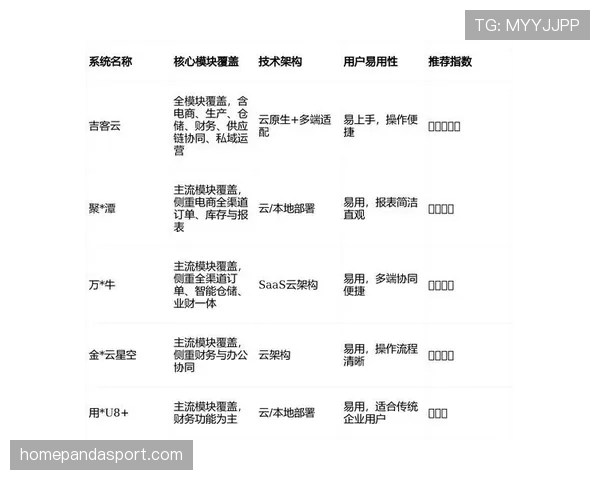 判罚优先级规则的具体判定标准与适用场景详解