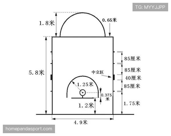 篮球中线规则详解：何时算违例？